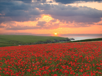 Pentire Point West